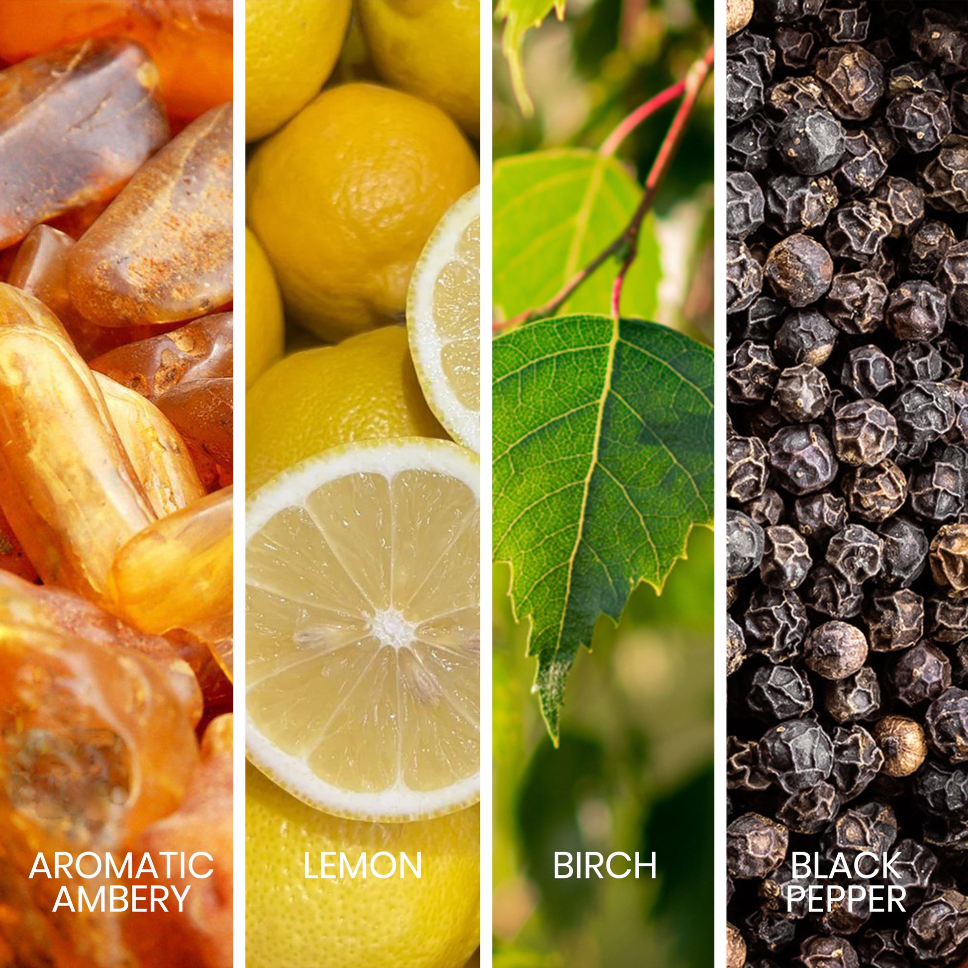 Sapil Intense Noir pour Homme Eau de Parfum - 100 ML