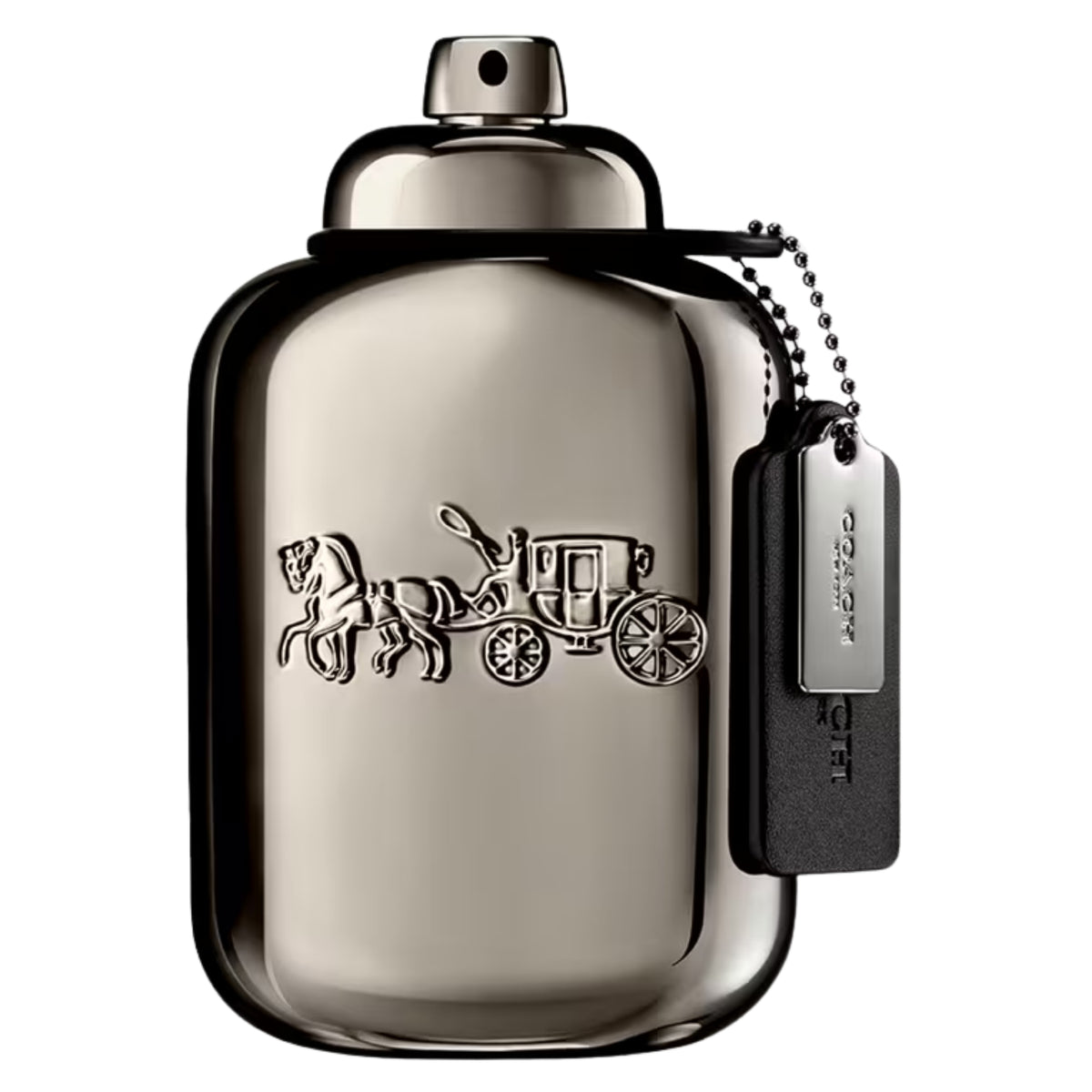 Coach Pure Platinum Parfum for Man