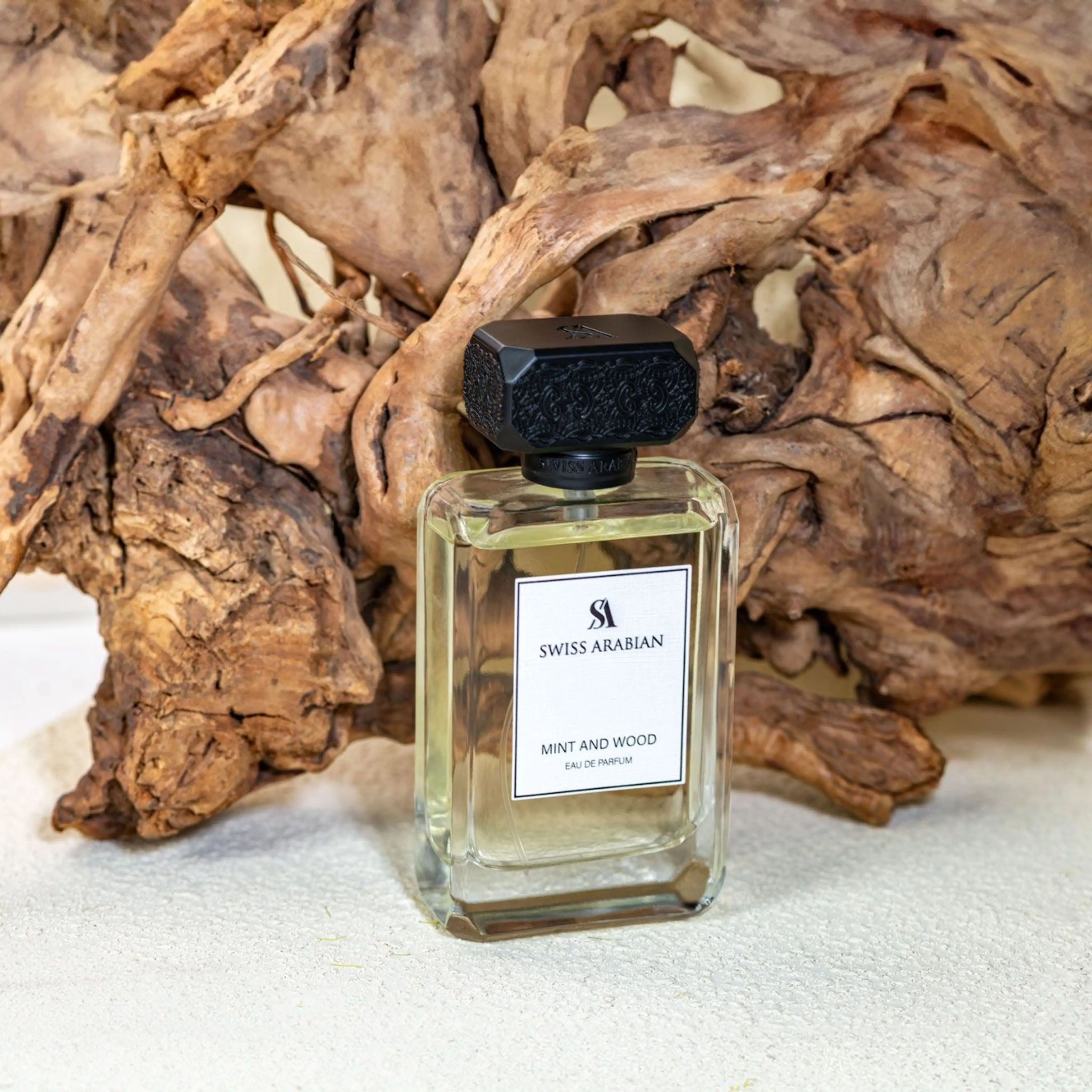 Swiss Arabian Mint And Wood Eau De Parfum For Men - 100 ML - view 4