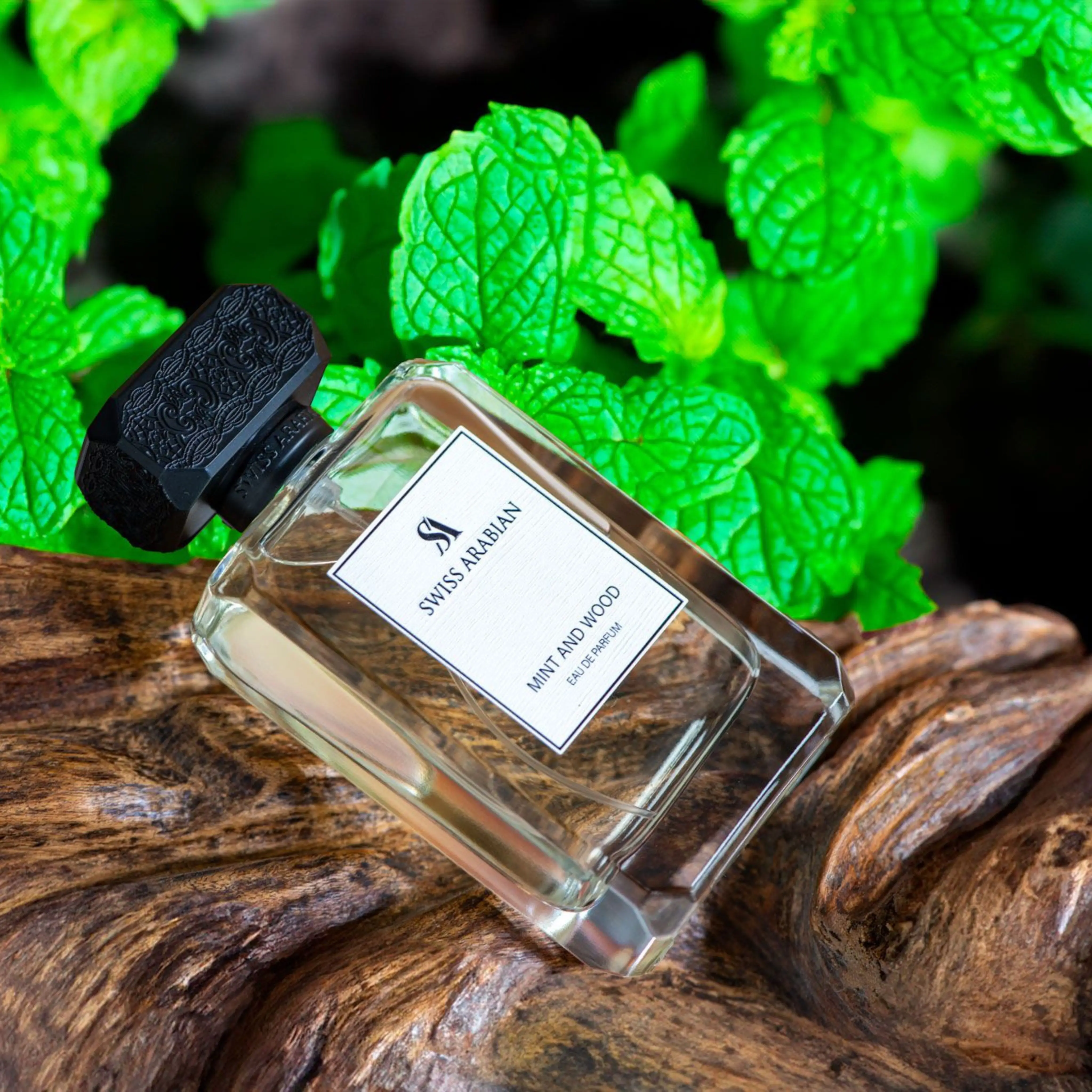Swiss Arabian Mint And Wood Eau De Parfum For Men - 100 ML - view 5