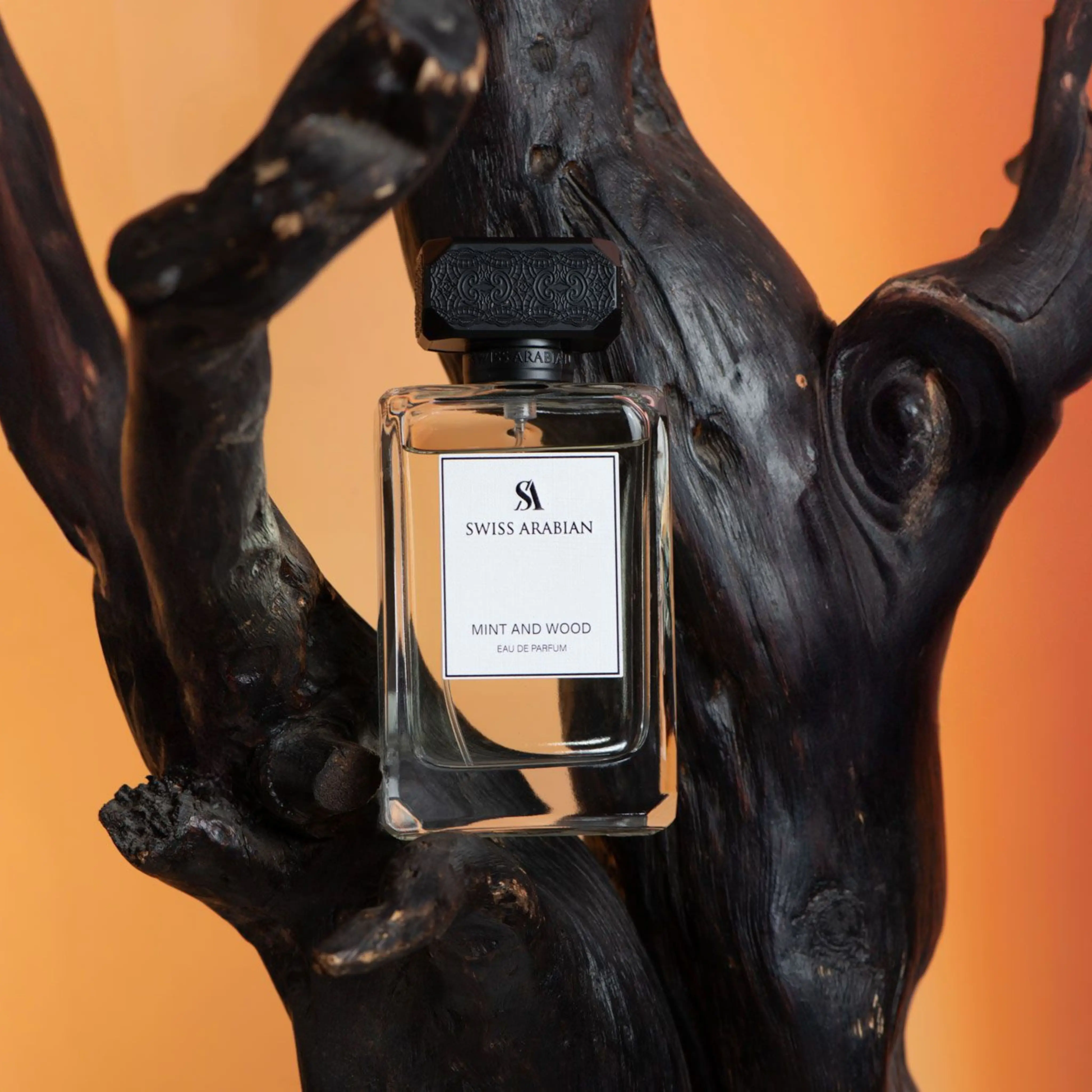 Swiss Arabian Mint And Wood Eau De Parfum For Men - 100 ML